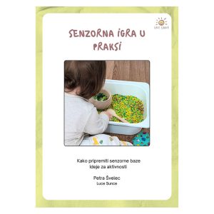 e book senzorna igra u praksi